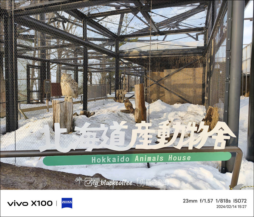 《遊》【北海道.旭川】旭山動物園.冬季限定 - 超可愛的企鵝 《遊》【北海道.旭川】旭山動物園.冬季限定 - 超可愛的企鵝