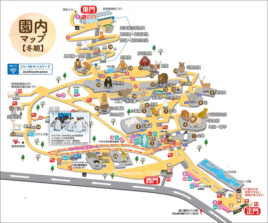 《遊》【北海道.旭川】旭山動物園.冬季限定 - 超可愛的企鵝 《遊》【北海道.旭川】旭山動物園.冬季限定 - 超可愛的企鵝