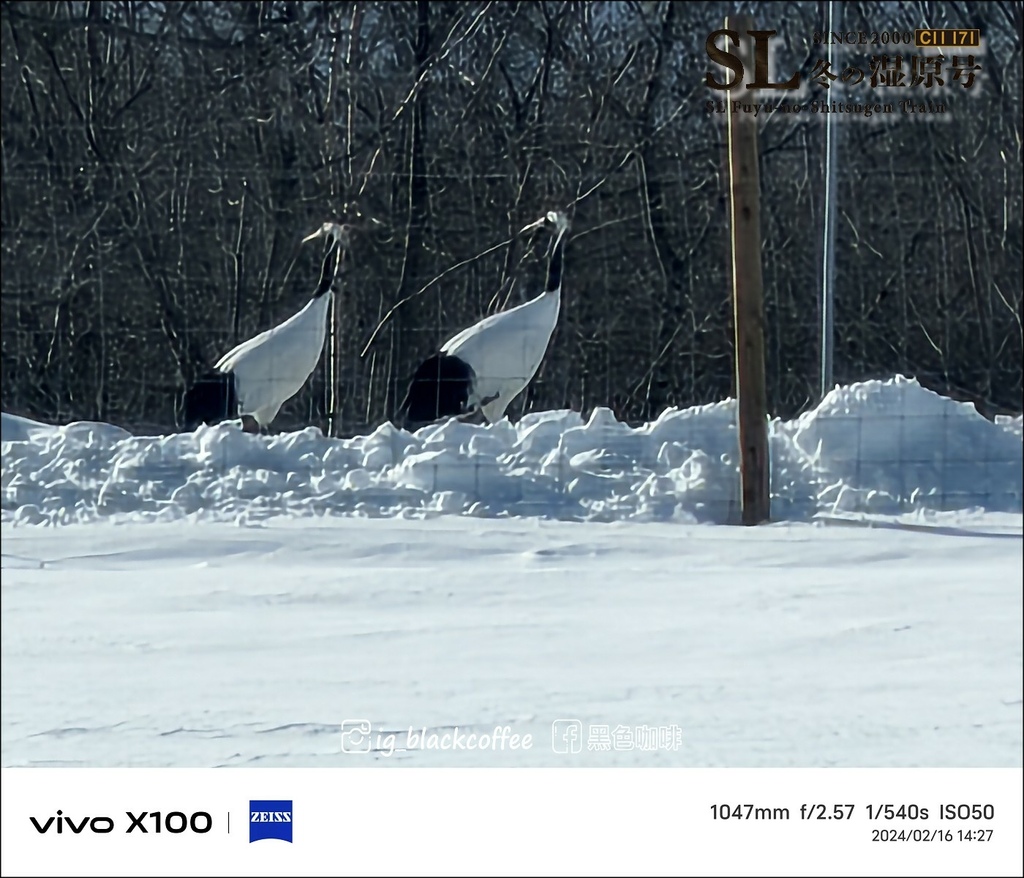 《遊》【北海道．標茶】2024 SL冬季濕原號（SL冬の湿原