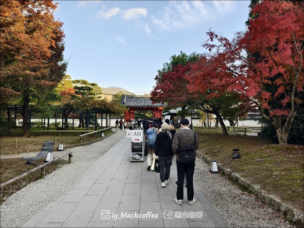 《KKDAY》【京都．宇治】世界遺產「平等院」・2024 秋