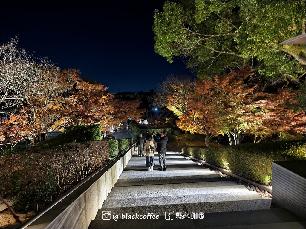 《KKDAY》【京都．宇治】世界遺產「平等院」・2024 秋