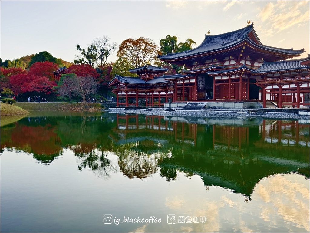《KKDAY》【京都．宇治】世界遺產「平等院」・2024 秋