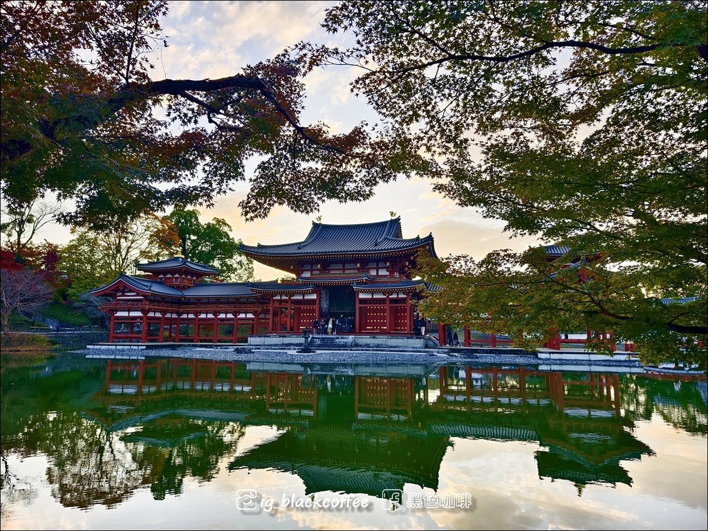 《KKDAY》【京都．宇治】世界遺產「平等院」・2024 秋
