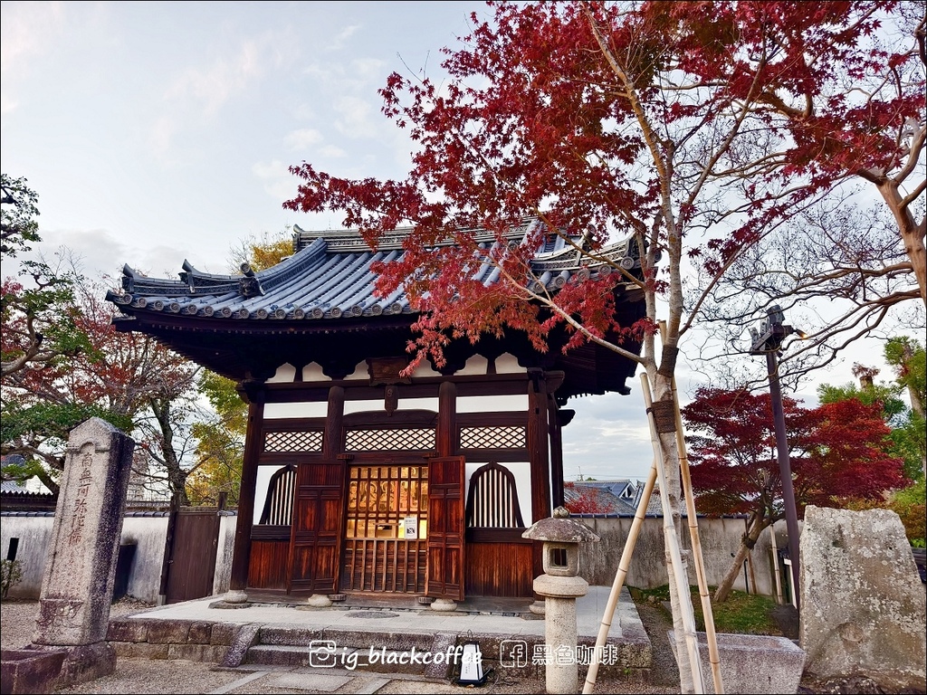 《KKDAY》【京都．宇治】世界遺產「平等院」・2024 秋