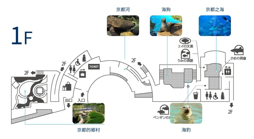 【豪華版關西樂享周遊券】京都水族館兌換＋參觀心得｜依樓層順路