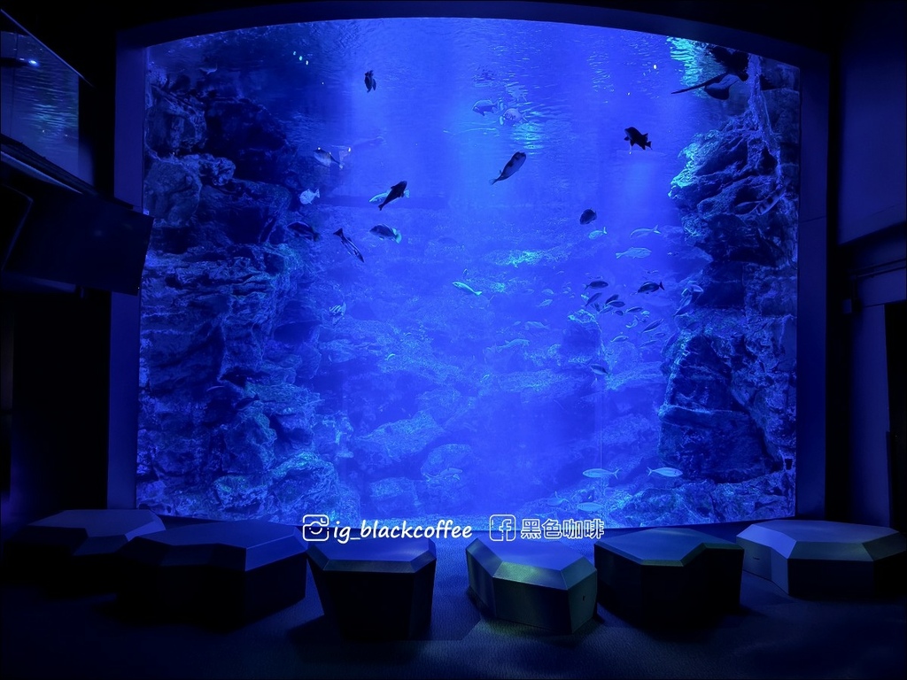 【豪華版關西樂享周遊券】京都水族館兌換＋參觀心得｜依樓層順路