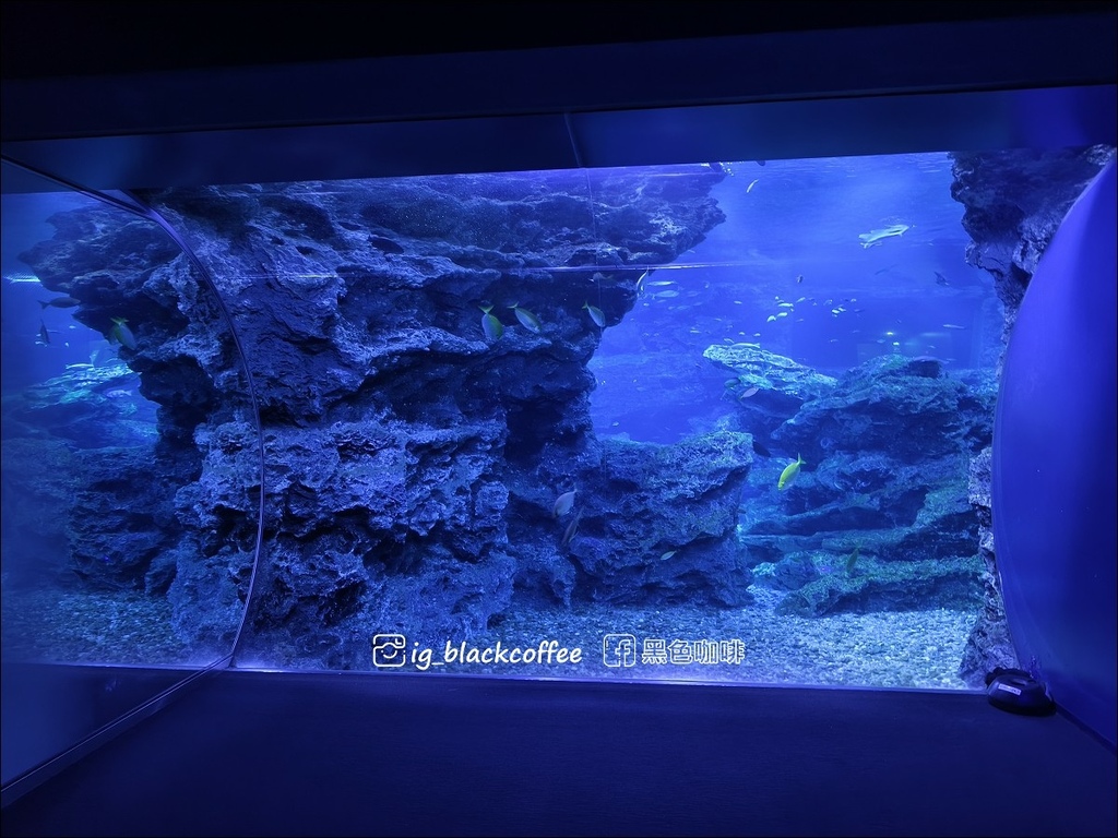 【豪華版關西樂享周遊券】京都水族館兌換＋參觀心得｜依樓層順路