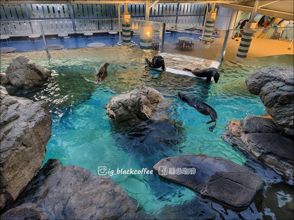 【豪華版關西樂享周遊券】京都水族館兌換＋參觀心得｜依樓層順路
