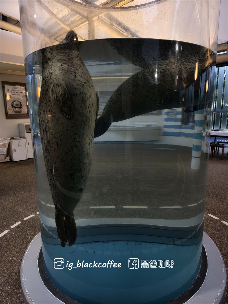 【豪華版關西樂享周遊券】京都水族館兌換＋參觀心得｜依樓層順路