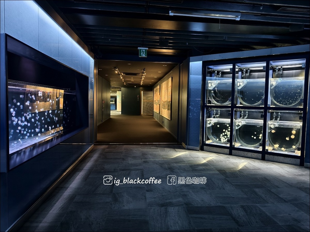 【豪華版關西樂享周遊券】京都水族館兌換＋參觀心得｜依樓層順路