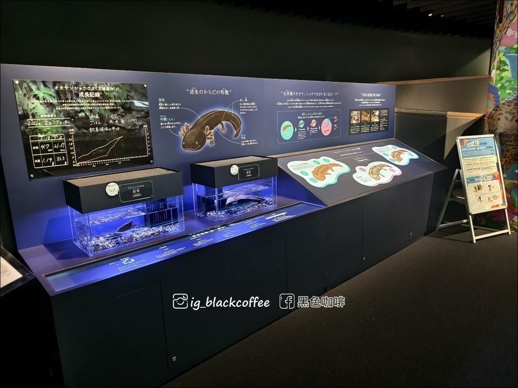 【豪華版關西樂享周遊券】京都水族館兌換＋參觀心得｜依樓層順路