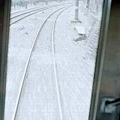 10120029