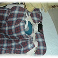 20110204上午5點39分黑面蓋棉被睡到「倒頭栽」.jpg