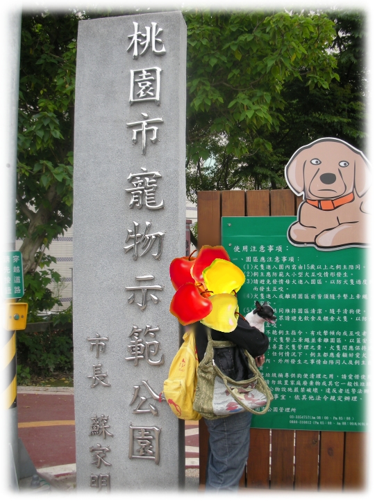 20100419下午2點3分黑面於桃園寵物示範公園.jpg