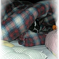 20110128下午5點42分睡覺覺中的黑面寶寶.jpg
