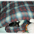 20110128下午5點53分睡覺覺中的黑面寶寶.jpg