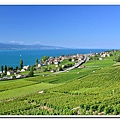 DSC_0492 Lavaux.jpg