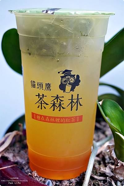 花蓮飲料店 貓頭鷹茶森林花蓮中山店 花蓮日月潭紅茶 米其林紅韻 水果茶 花草茶 日月潭紅茶茶葉蛋DSC07254.JPG