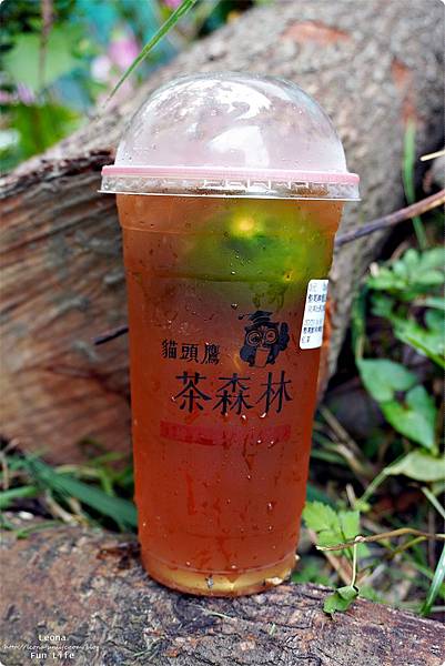 花蓮飲料店 貓頭鷹茶森林花蓮中山店 花蓮日月潭紅茶 米其林紅韻 水果茶 花草茶 日月潭紅茶茶葉蛋DSC07266.JPG