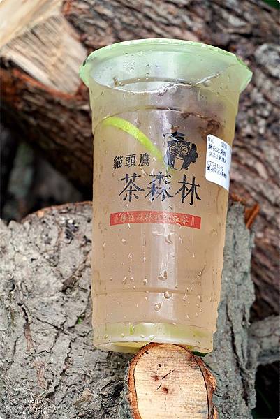 花蓮飲料店 貓頭鷹茶森林花蓮中山店 花蓮日月潭紅茶 米其林紅韻 水果茶 花草茶 日月潭紅茶茶葉蛋DSC07273.JPG