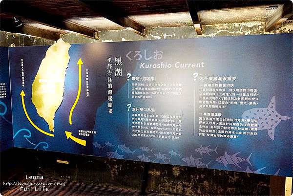 花蓮柴魚博物館  七星柴魚博物館2019 七星柴魚博物館火災重建  七星柴魚博物館商品專門店   柴魚博物館伴手禮 親子景點 室內景點 章魚燒diy 柴魚diyDSC08000.JPG