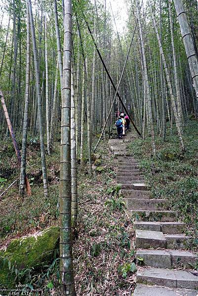 南投景點 南投休閒農業區 四季玩法 四季農遊來南投 精選13條農遊路線 手作體驗 手沖咖啡 南投賞櫻 櫻花便當 竹筒餐 南投親子 南投微旅行林爽文 孟宗竹林古戰場 長源圳古道DSC04502.JPG