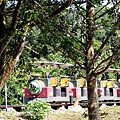 苗栗三義一日遊 三義景點 舊山線鐵道自行車 勝興客棧 道地客家餐廳 三義木雕藝術節 踩街比賽 臺灣霧都 木雕之鄉 行程推薦DSC06205.JPG