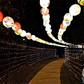 台中親子公園 太平親子景點 豐年公園兒童遊戲區 燈籠光廊 台中公園 台中景點 美樂地計畫 光明大地 IG拍照景DSC04084