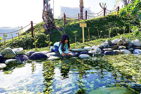 花蓮海崖谷 花蓮沿海景點 民宿 露營區 花東海岸線景點攻略  花蓮露營區推薦 花蓮壽豐露營區 網美露營 懶人豪華露營法 全台絕美星空大海綠地 免裝備露營 看星星 網美景點 台灣IG打卡景點 親子景點DSC06045.JPG