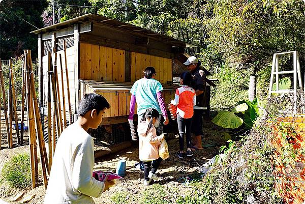 新社親子一日遊景點 新社商圈 採香菇 撿雞蛋 做蛋捲 布拉姆田莊 食農 昇和香菇園採木耳 台中親子遊 行程安排 帶著長輩出遊DSC06670.JPG