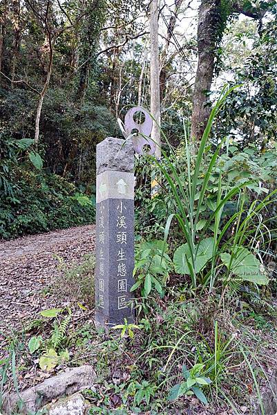 新社親子一日遊景點 新社商圈 採香菇 撿雞蛋 做蛋捲 布拉姆田莊 食農 昇和香菇園採木耳 台中親子遊 行程安排 帶著長輩出遊DSC06651.JPG