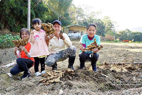 新社親子一日遊景點 新社商圈 採香菇 撿雞蛋 做蛋捲 布拉姆田莊 食農 昇和香菇園採木耳 台中親子遊 行程安排 帶著長輩出遊  挖薑 煮薑茶DSC06792_副本.jpg