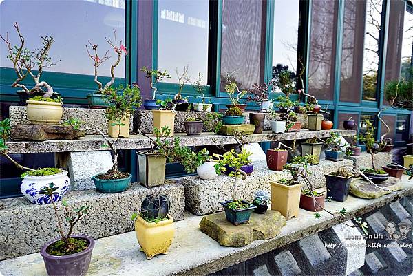 新社親子一日遊景點 新社商圈 採香菇 撿雞蛋 做蛋捲 布拉姆田莊 食農 昇和香菇園採木耳 台中親子遊 行程安排 帶著長輩出遊DSC06839.JPG