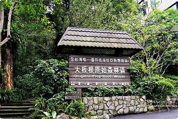 新北三峽住宿 美食 景點 親子 長輩 大板根住宿 大板根森林溫泉渡假村 森林遊樂區 湯屋 溫泉 烤肉 露營 螢火蟲 交通  大板根小木屋  大 板根湯屋券 飯店 設施  大板根 咖啡廳 伴手禮 適合老人的景點 同長輩去旅行  帶父母出遊  國內家族旅遊 規劃  老人家 適合去的地方老人自助旅行  適合帶媽媽去的景點DSC03490.JPG