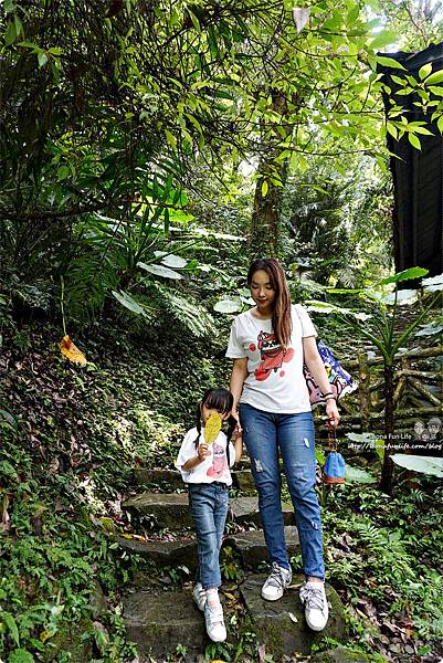 新北三峽住宿 美食 景點 親子 長輩 大板根住宿 大板根森林溫泉渡假村 森林遊樂區 湯屋 溫泉 烤肉 露營 螢火蟲 交通  大板根小木屋  大 板根湯屋券 飯店 設施  大板根 咖啡廳 伴手禮 適合老人的景點 同長輩去旅行  帶父母出遊  國內家族旅遊 規劃  老人家 適合去的地方老人自助旅行  適合帶媽媽去的景點DSC04156_副本.jpg