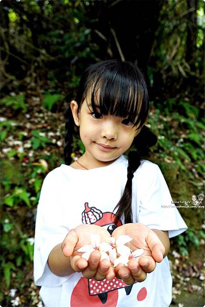 新北三峽住宿 美食 景點 親子 長輩 大板根住宿 大板根森林溫泉渡假村 森林遊樂區 湯屋 溫泉 烤肉 露營 螢火蟲 交通  大板根小木屋  大 板根湯屋券 飯店 設施  大板根 咖啡廳 伴手禮 適合老人的景點 同長輩去旅行  帶父母出遊  國內家族旅遊 規劃  老人家 適合去的地方老人自助旅行  適合帶媽媽去的景點DSC04168.JPG