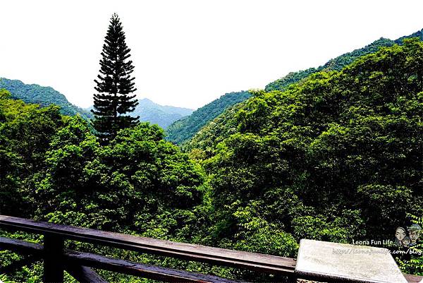 新北三峽住宿 美食 景點 親子 長輩 大板根住宿 大板根森林溫泉渡假村 森林遊樂區 湯屋 溫泉 烤肉 露營 螢火蟲 交通  大板根小木屋  大 板根湯屋券 飯店 設施  大板根 咖啡廳 伴手禮 適合老人的景點 同長輩去旅行  帶父母出遊  國內家族旅遊 規劃  老人家 適合去的地方老人自助旅行  適合帶媽媽去的景點DSC04202.JPG