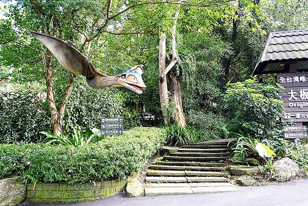 新北景點 大板根恐龍展 門票 探索森林 親子房 大板根森林溫泉酒店評價 住宿推薦 親子景點 親子一日遊 溫泉 森林 侏羅紀 DSC06871.JPG