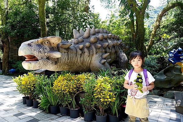 新北景點 大板根恐龍展 門票 探索森林 親子房 大板根森林溫泉酒店評價 住宿推薦 親子景點 親子一日遊 溫泉 森林 侏羅紀 DSC07006.JPG