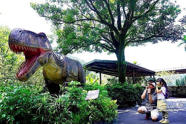 新北景點 大板根恐龍展 門票 探索森林 親子房 大板根森林溫泉酒店評價 住宿推薦 親子景點 親子一日遊 溫泉 森林 侏羅紀 DSC07019.JPG