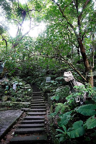 新北景點 大板根恐龍展 門票 探索森林 親子房 大板根森林溫泉酒店評價 住宿推薦 親子景點 親子一日遊 溫泉 森林 侏羅紀DSC06875.JPG