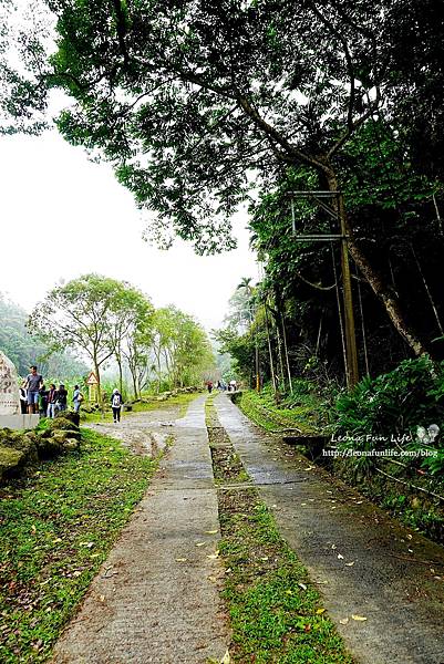 雲林古坑一日遊踏青、美食、地方文化一次GET!小天梯、情人橋、文學步道、桂竹林休閒餐廳、華山派雞大俠、手陶壺烘咖啡行程推薦DSC02507.JPG