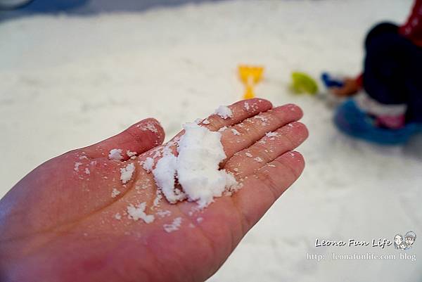 宇宙喵樂園 樂雪公園 大魯閣新時代購物中心 台中玩雪 親子樂園 滑雪 期間限定 仿真雪 滑雪圈雪盆 室內雪場 親子套票1DSC068841DSC07001.JPG