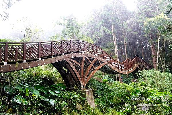 金台灣山莊 一泊二食優惠 溪頭住宿小木屋 溪頭住宿推薦 溪頭小木屋包棟 小木屋住宿烤肉  溪頭烤肉區  溪頭小木屋 南投小木屋烤肉 烤肉民宿 1DSC07663.JPG