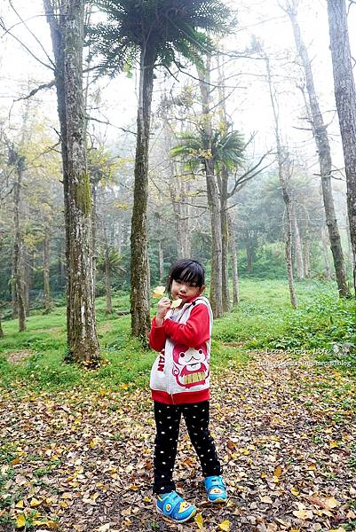 金台灣山莊 一泊二食優惠 溪頭住宿小木屋 溪頭住宿推薦 溪頭小木屋包棟 小木屋住宿烤肉  溪頭烤肉區  溪頭小木屋 南投小木屋烤肉 烤肉民宿 1DSC07640.JPG