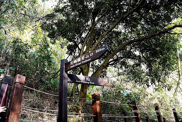 台中太平登山步道 太平蝙蝠洞 百蝙吊橋 太平半日遊 台中大坑步道   週末踏青趣   休閒級登山步道   太平半日遊 台中景點   太平蝙蝠洞 百蝙吊橋 蝙蝠洞登山步道 護國清涼寺  1DSC02378.JPG