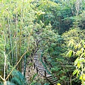 台中太平登山步道 太平蝙蝠洞 百蝙吊橋 太平半日遊 台中大坑步道   週末踏青趣   休閒級登山步道   太平半日遊 台中景點   太平蝙蝠洞 百蝙吊橋 蝙蝠洞登山步道 護國清涼寺  1DSC02379.JPG