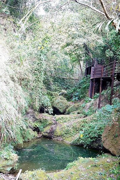 台中太平登山步道 太平蝙蝠洞 百蝙吊橋 太平半日遊 台中大坑步道   週末踏青趣   休閒級登山步道   太平半日遊 台中景點   太平蝙蝠洞 百蝙吊橋 蝙蝠洞登山步道 護國清涼寺  1DSC02390.JPG