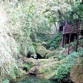 台中太平登山步道 太平蝙蝠洞 百蝙吊橋 太平半日遊 台中大坑步道   週末踏青趣   休閒級登山步道   太平半日遊 台中景點   太平蝙蝠洞 百蝙吊橋 蝙蝠洞登山步道 護國清涼寺  1DSC02390.JPG