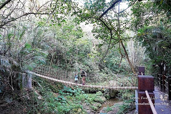 台中太平登山步道 太平蝙蝠洞 百蝙吊橋 太平半日遊 台中大坑步道   週末踏青趣   休閒級登山步道   太平半日遊 台中景點   太平蝙蝠洞 百蝙吊橋 蝙蝠洞登山步道 護國清涼寺  1DSC02394.JPG